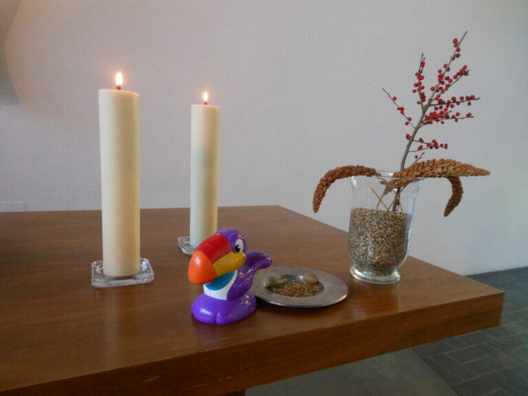 Mehr über den Artikel erfahren Familien-Faschings-Gottesdienst: „Jeder hat einen Vogel“