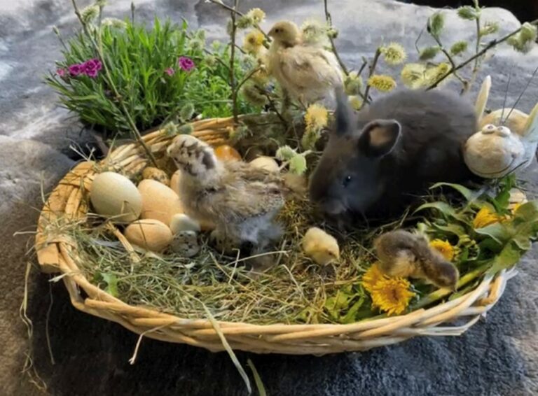 Mehr über den Artikel erfahren Gottesdienst am Ostersonntag